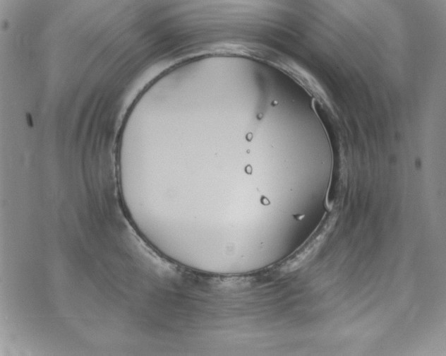 X0000073860808200608101249