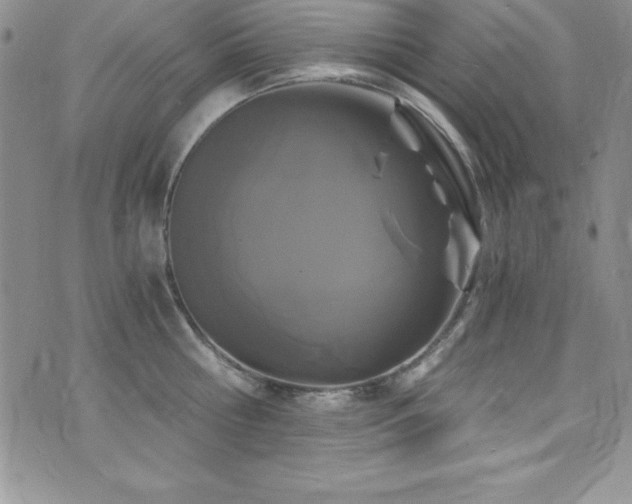 X0000073860810200608101249