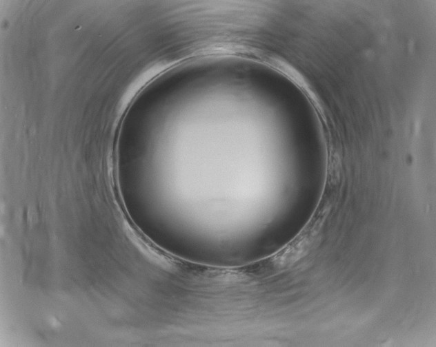 X0000073860811200608101249