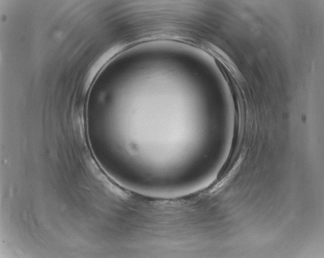 X0000073860812200608101249