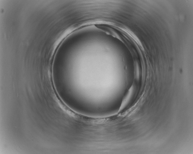 X0000073860813200608101249