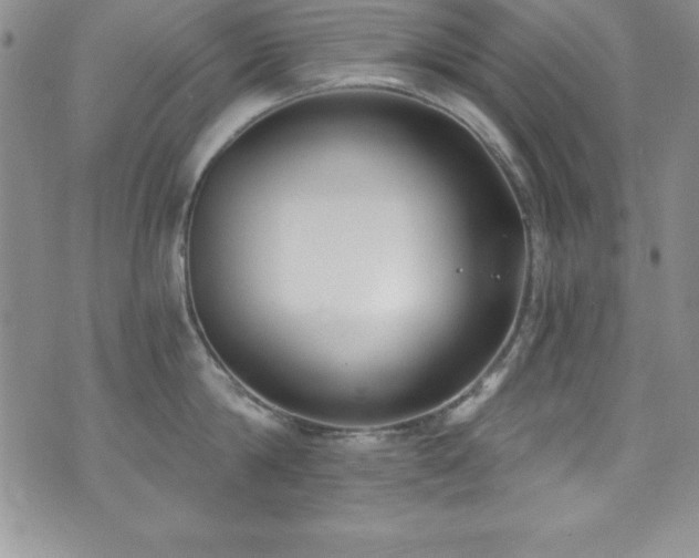 X0000073860814200608101249