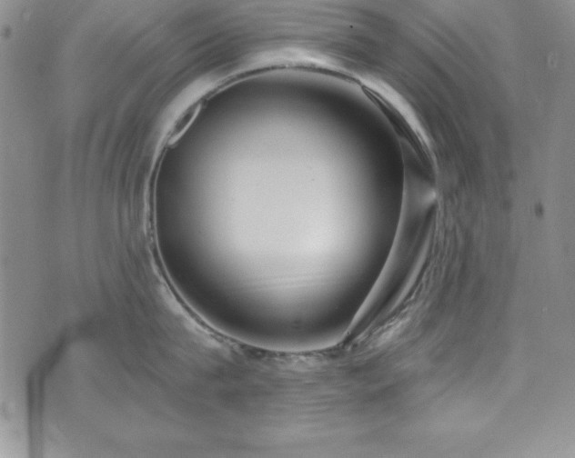 X0000073860815200608101249