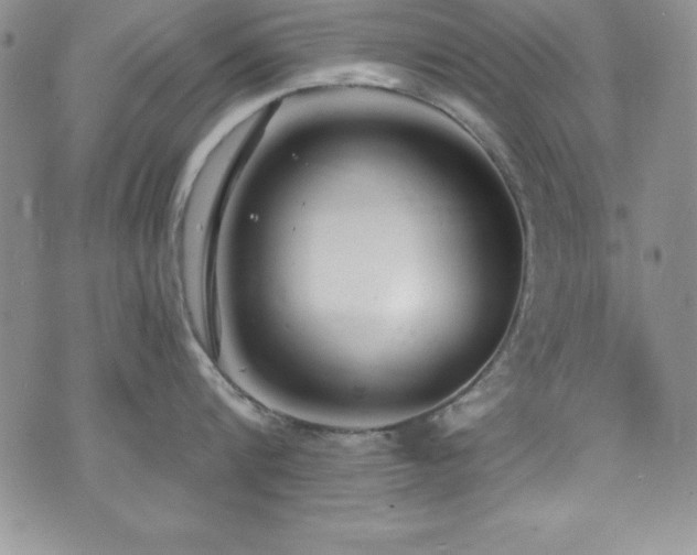 X0000073860816200608101249