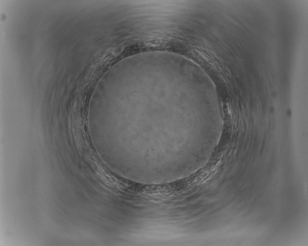 X0000073860817200608101248