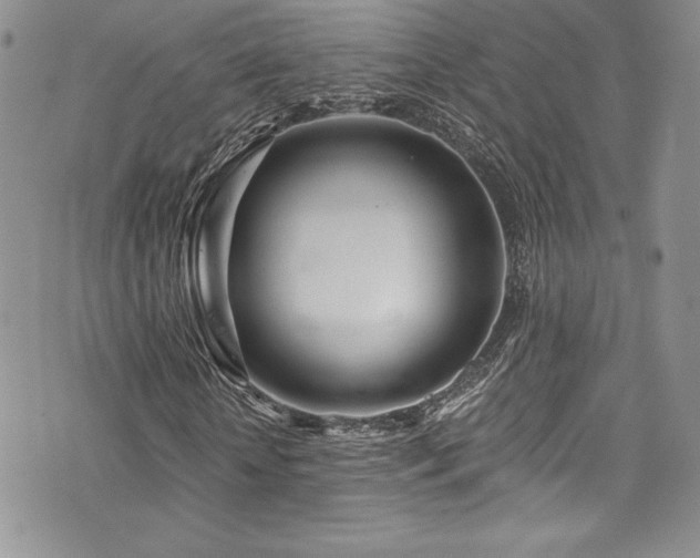 X0000073860818200608101248