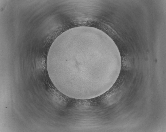 X0000073860820200608101248