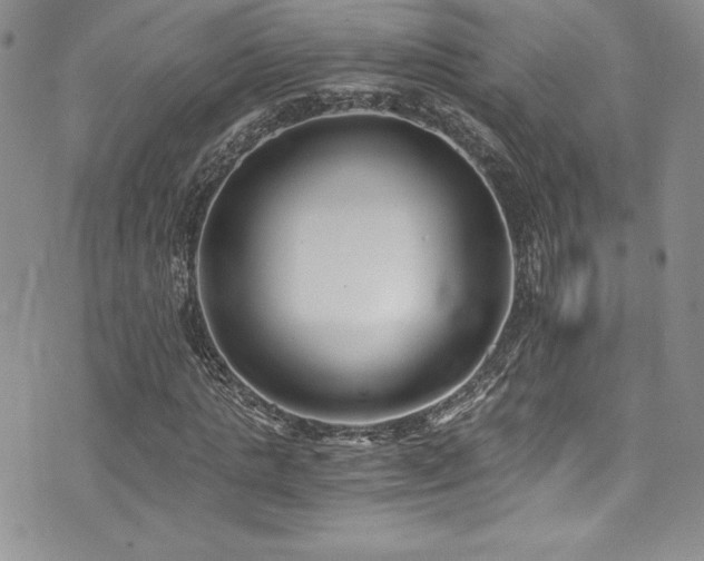 X0000073860821200608101248