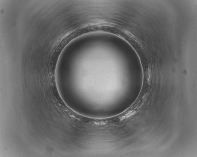 X0000073860822200608101248