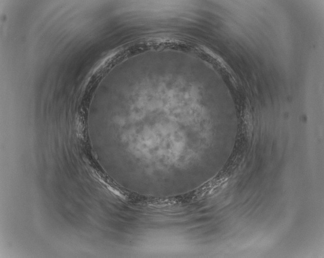 X0000073860823200608101248