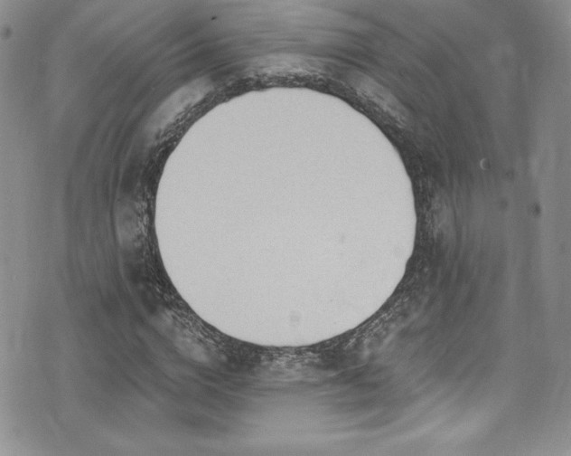 X0000073860824200608101248