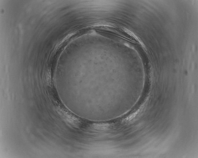 X0000073860825200608101248