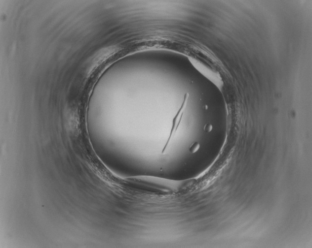 X0000073860826200608101248