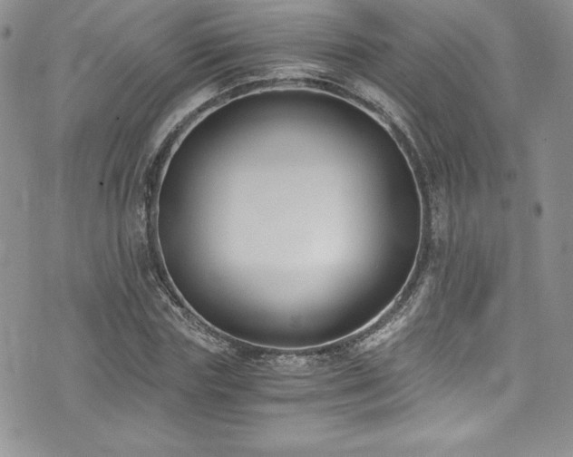 X0000073860827200608101248