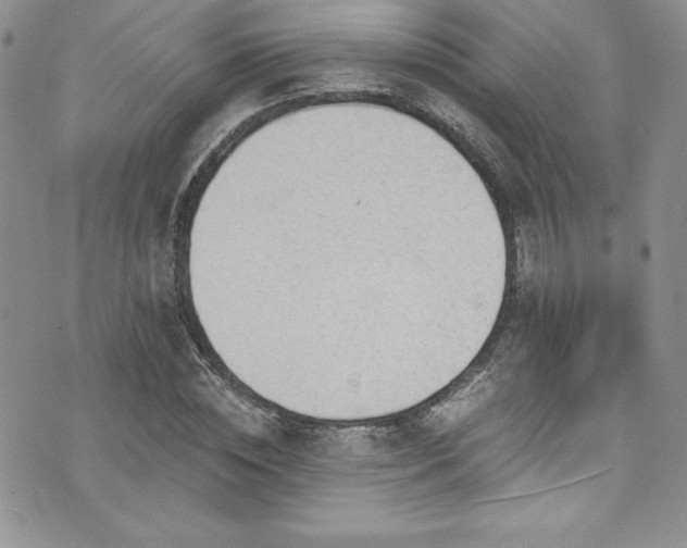 X0000073860828200608101248