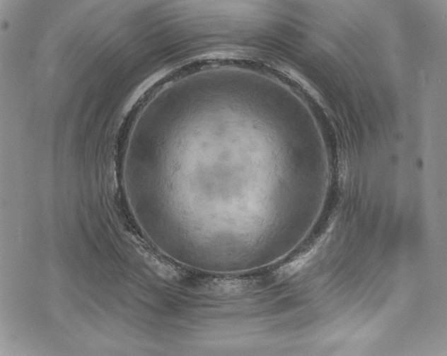 X0000073860829200608101248