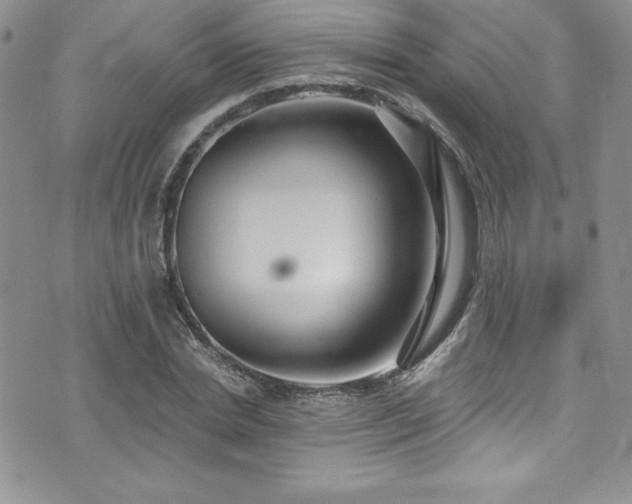 X0000073860830200608101248