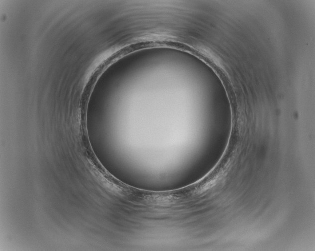 X0000073860831200608101248