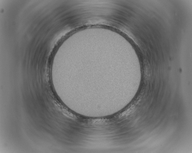 X0000073860832200608101248