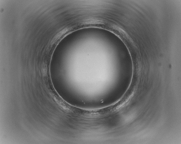 X0000073860833200608101248