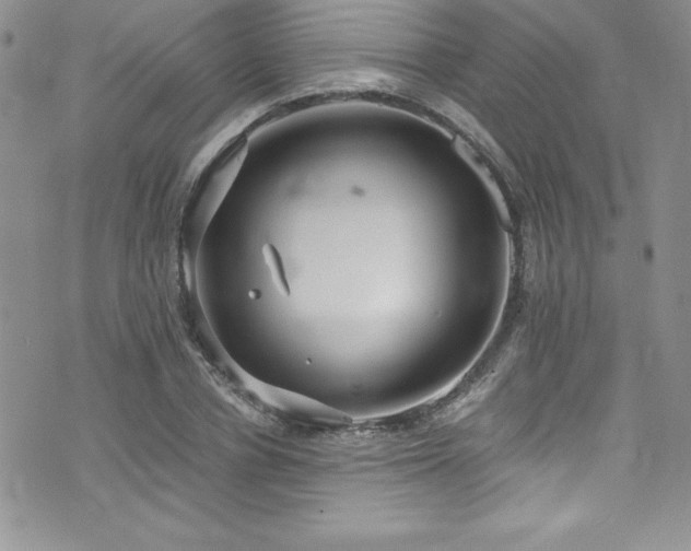 X0000073860834200608101248