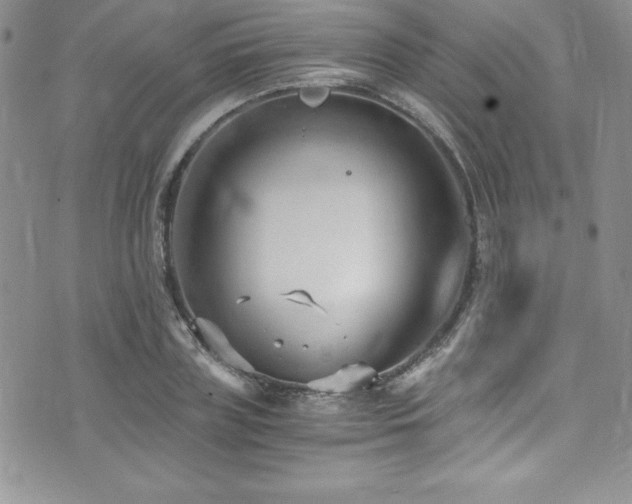 X0000073860835200608101248