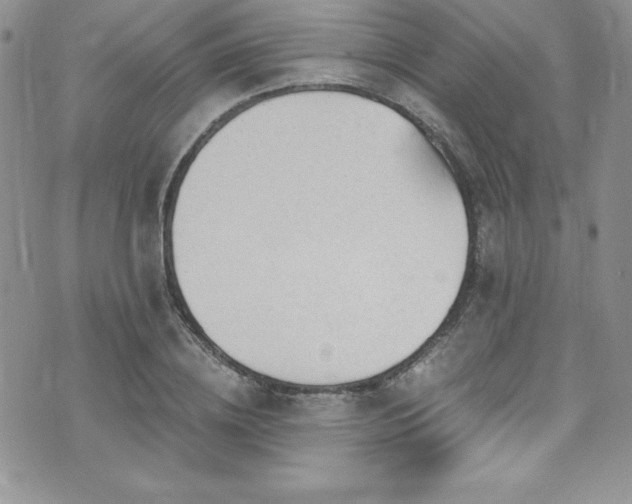 X0000073860836200608101248