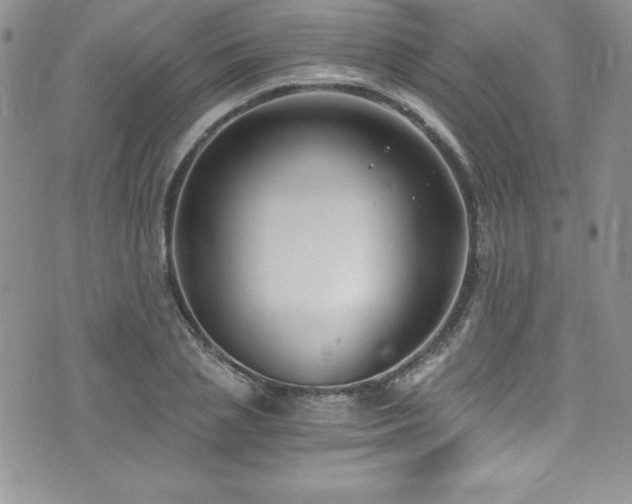 X0000073860837200608101248