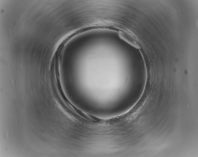 X0000073860838200608101248