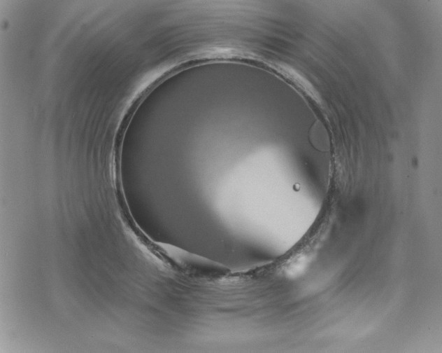 X0000073860839200608101248