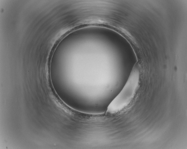 X0000073860840200608101248