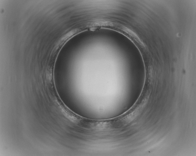 X0000073860841200608101248