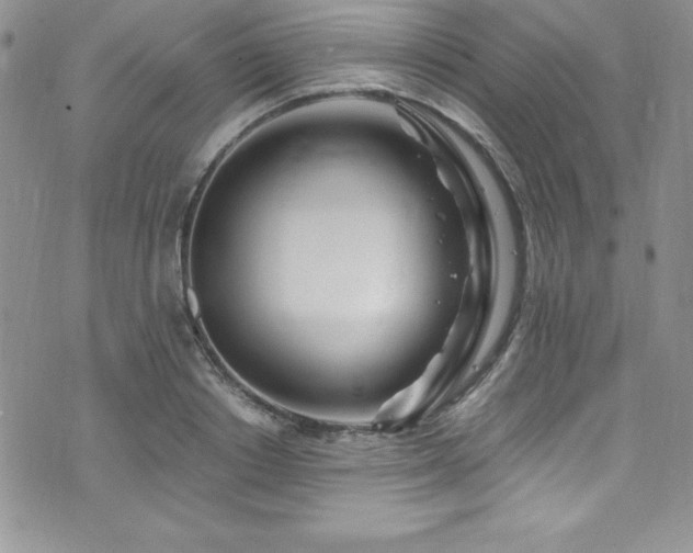 X0000073860842200608101248