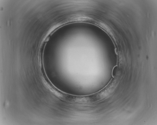 X0000073860843200608101248