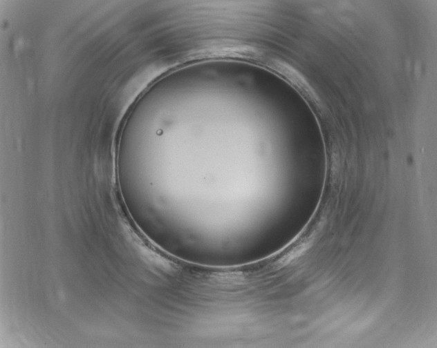 X0000073860844200608101248