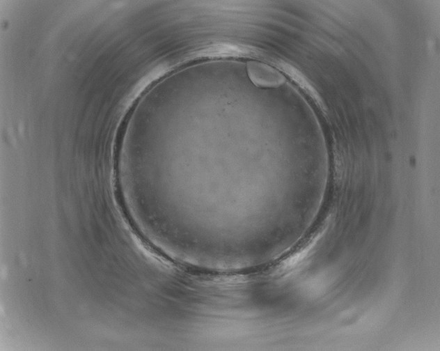 X0000073860845200608101248