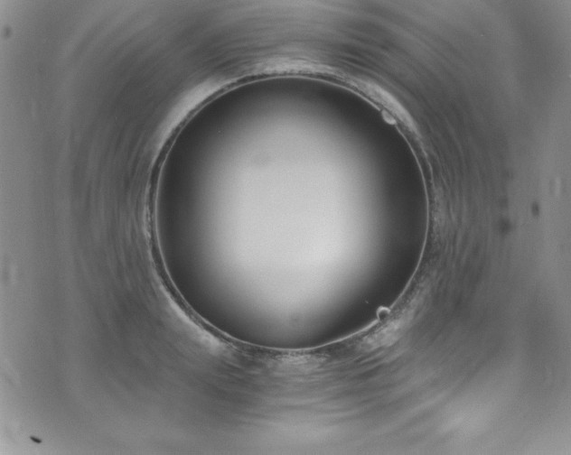 X0000073860847200608101248