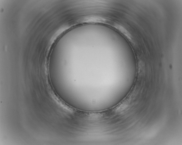 X0000073860848200608101248