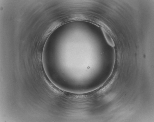 X0000073860849200608101248