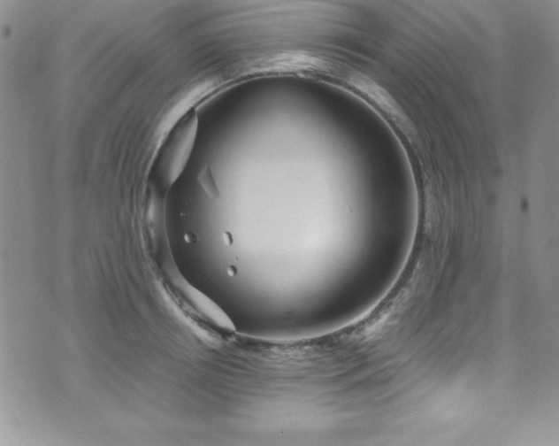 X0000073860850200608101248