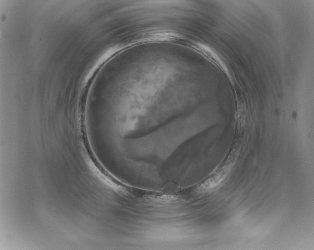 X0000073860851200608101248