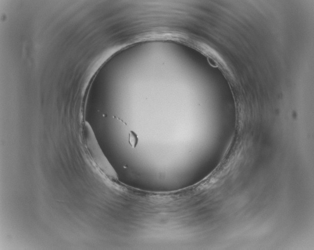 X0000073860852200608101248