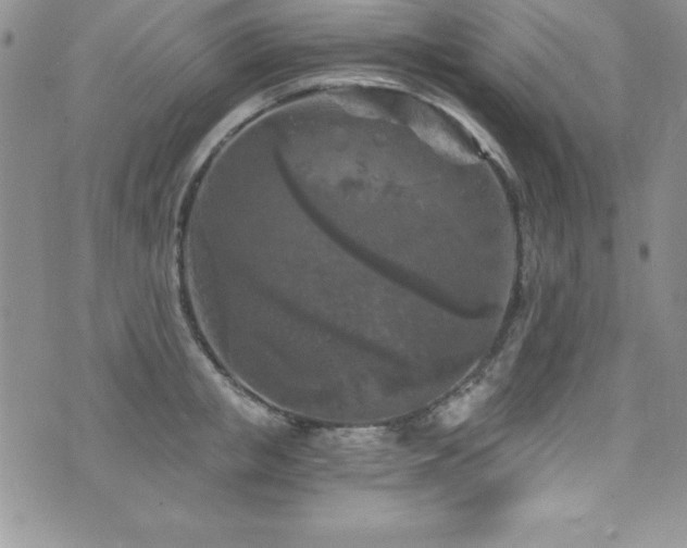 X0000073860853200608101248