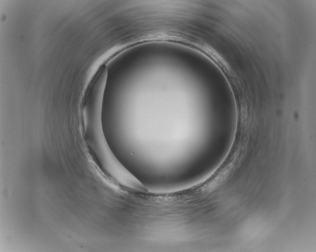 X0000073860854200608101248