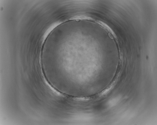 X0000073860855200608101248