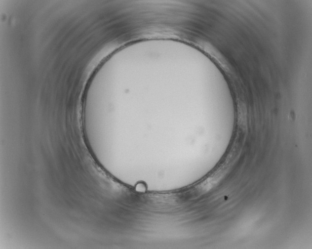 X0000073860856200608101249