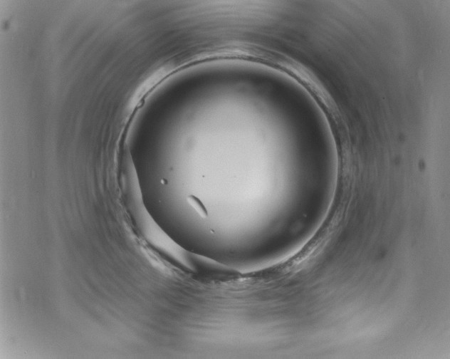 X0000073860858200608101249