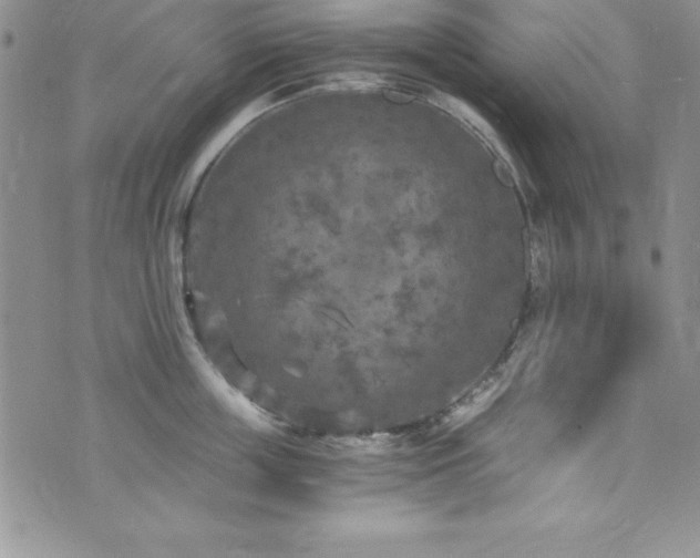 X0000073860859200608101249