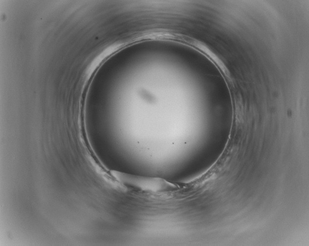 X0000073860861200608101249