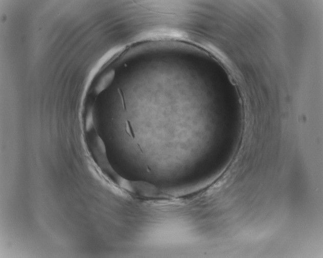 X0000073860864200608101249